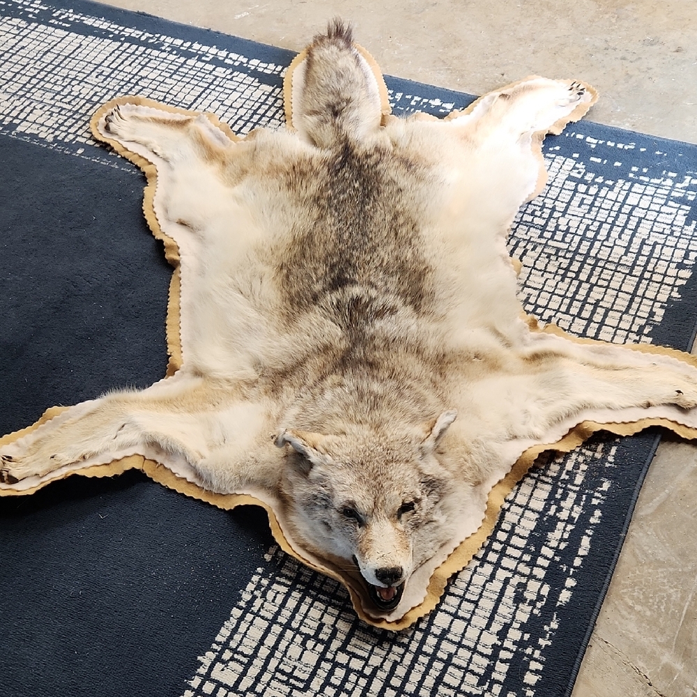 Realistic Wolf Fur Rug
